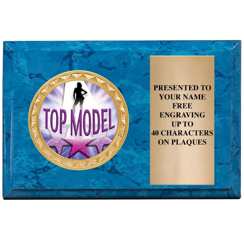 6" X 4" BLUE MBL INSERT PLQ