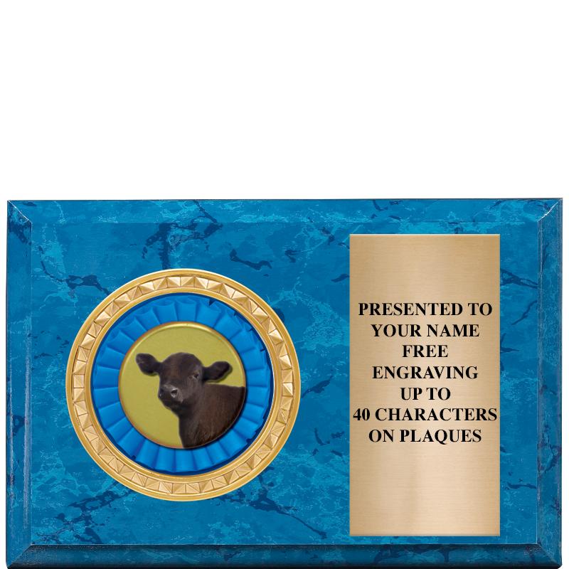 6" X 4" BLUE MBL INSERT PLQ