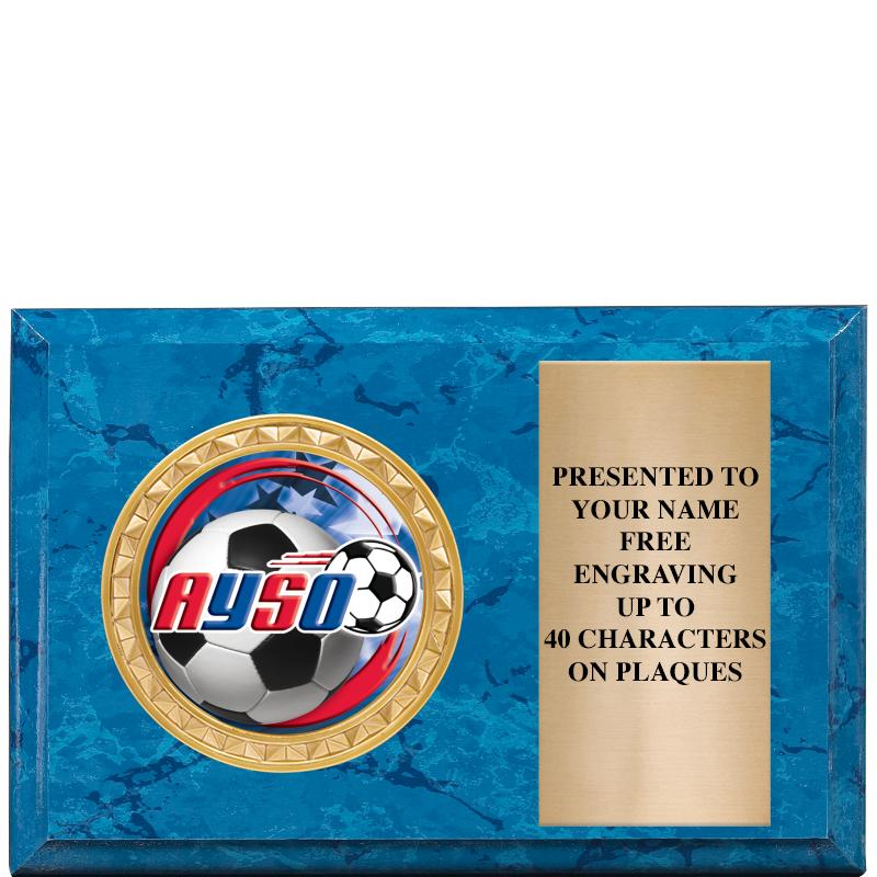 6" X 4" BLUE MBL INSERT PLQ