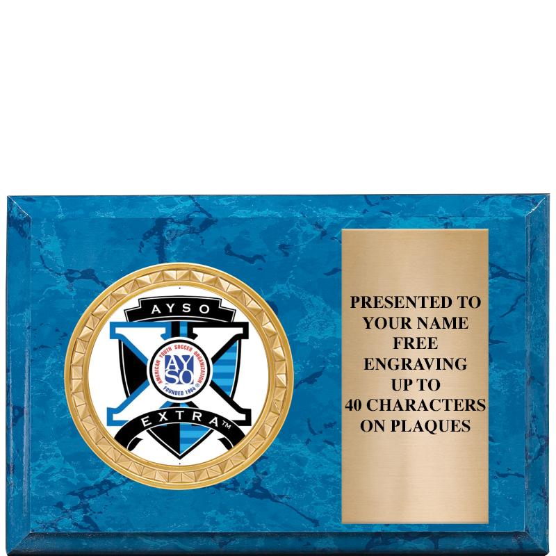 6" X 4" BLUE MBL INSERT PLQ