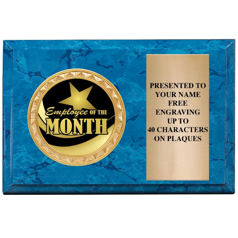 6" X 4" BLUE MBL INSERT PLQ