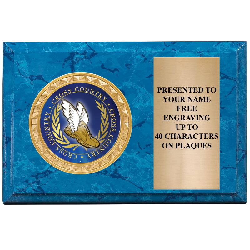 6" X 4" BLUE MBL INSERT PLQ