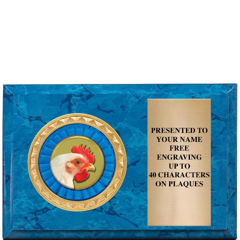 6" X 4" BLUE MBL INSERT PLQ