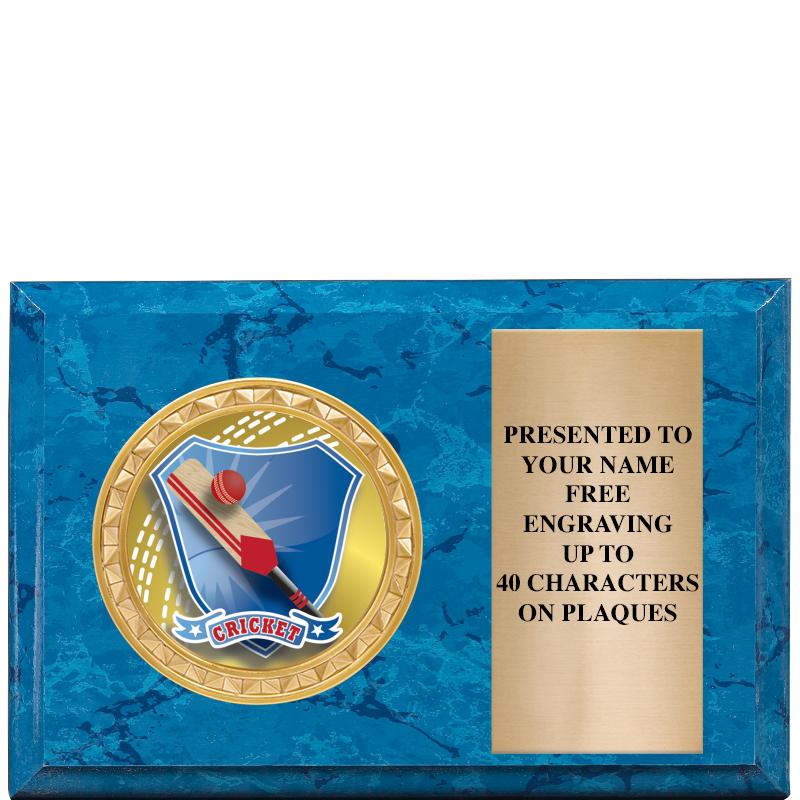 6" X 4" BLUE MBL INSERT PLQ