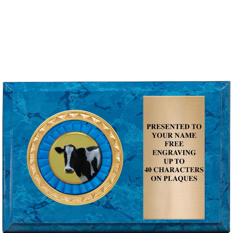 6" X 4" BLUE MBL INSERT PLQ