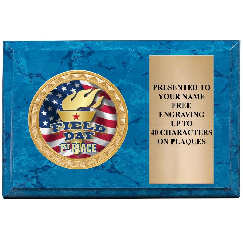 6" X 4" BLUE MBL INSERT PLQ