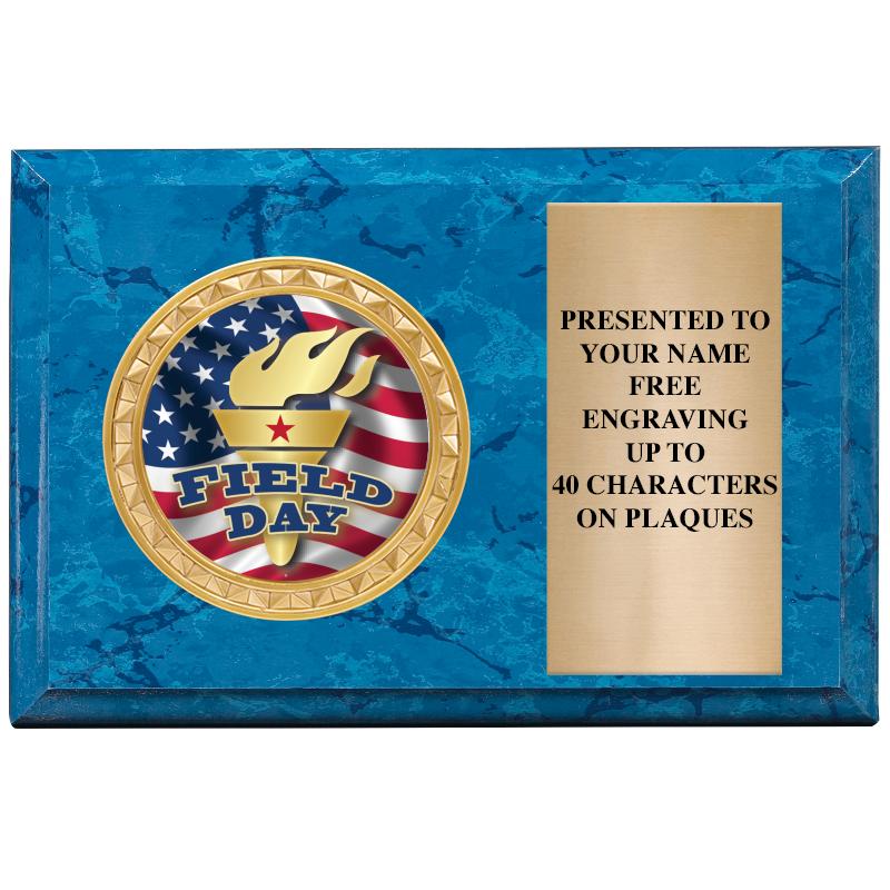 6" X 4" BLUE MBL INSERT PLQ