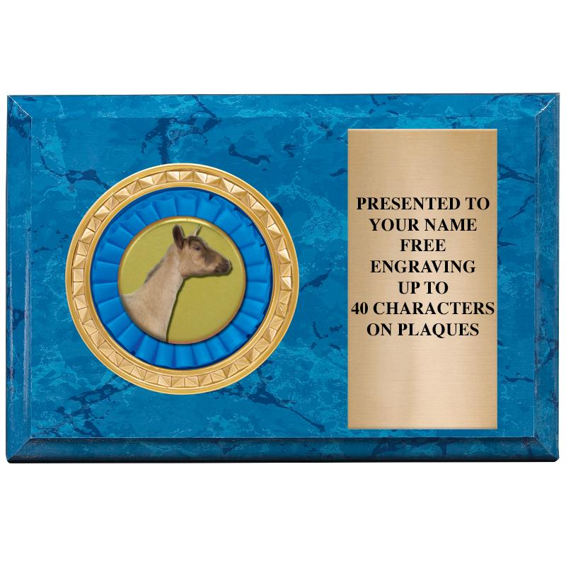 6" X 4" BLUE MBL INSERT PLQ