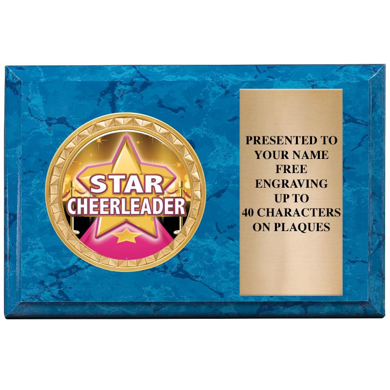 6" X 4" BLUE MBL INSERT PLQ