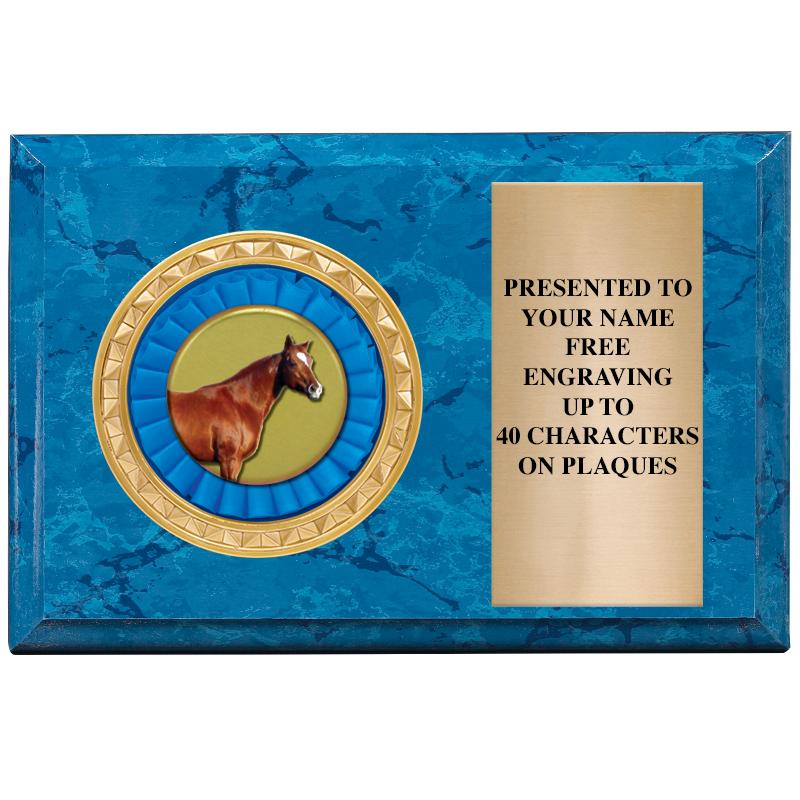 6" X 4" BLUE MBL INSERT PLQ