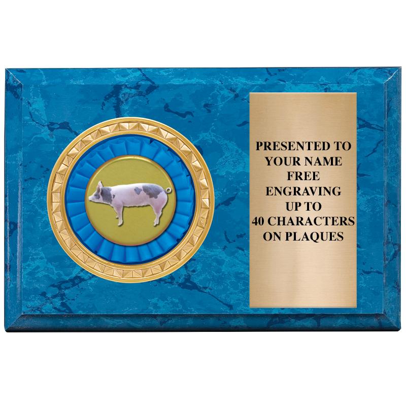 6" X 4" BLUE MBL INSERT PLQ