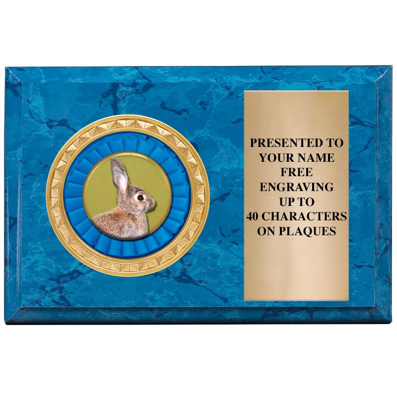 6" X 4" BLUE MBL INSERT PLQ