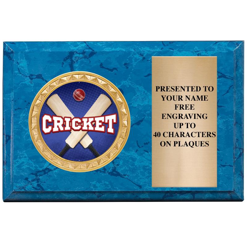 6" X 4" BLUE MBL INSERT PLQ