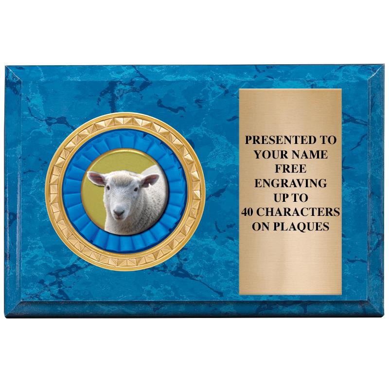 6" X 4" BLUE MBL INSERT PLQ