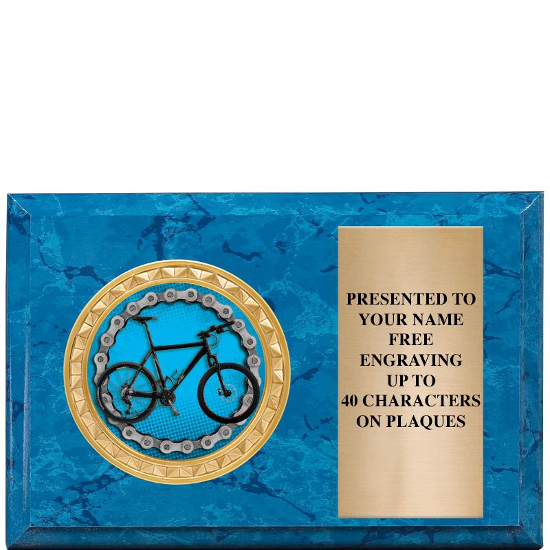 6" X 4" BLUE MBL INSERT PLQ