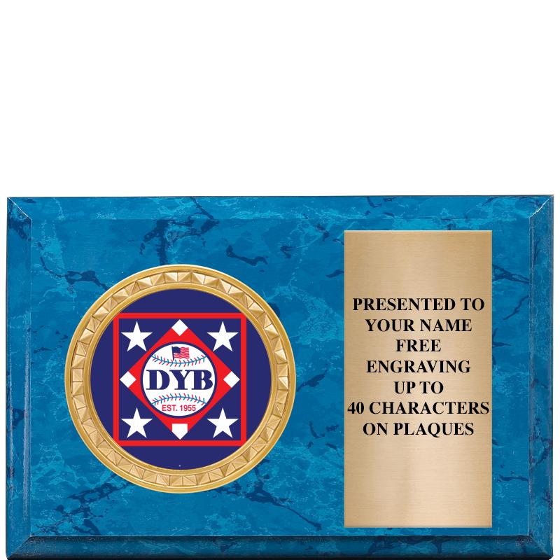 6" X 4" BLUE MBL INSERT PLQ