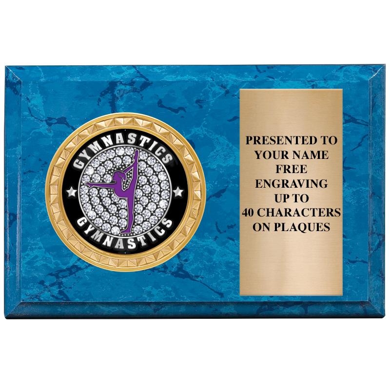 6" X 4" BLUE MBL INSERT PLQ