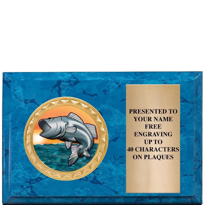 6" X 4" BLUE MBL INSERT PLQ