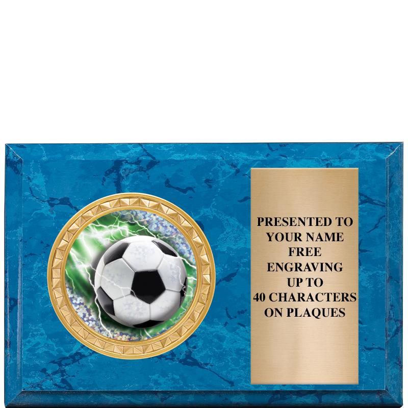 6" X 4" BLUE MBL INSERT PLQ