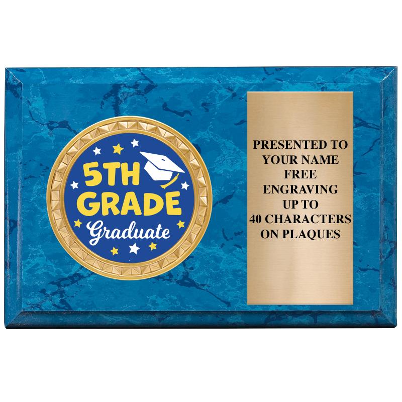 6" X 4" BLUE MBL INSERT PLQ