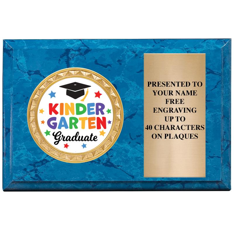 6" X 4" BLUE MBL INSERT PLQ