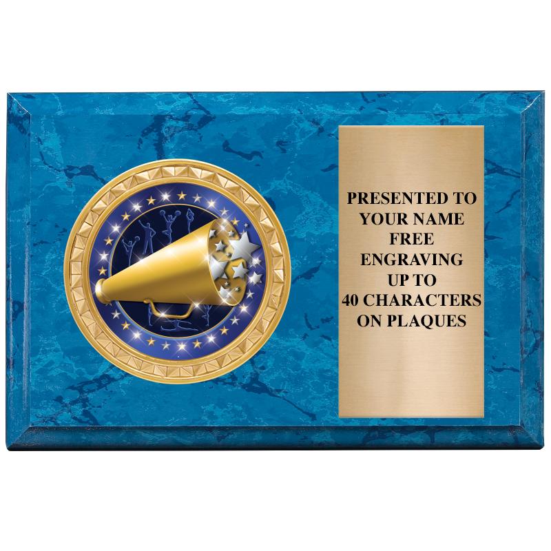 6" X 4" BLUE MBL INSERT PLQ