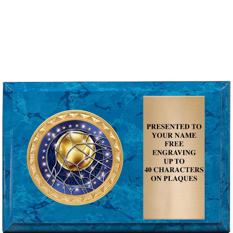 6" X 4" BLUE MBL INSERT PLQ