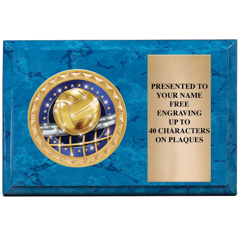 6" X 4" BLUE MBL INSERT PLQ