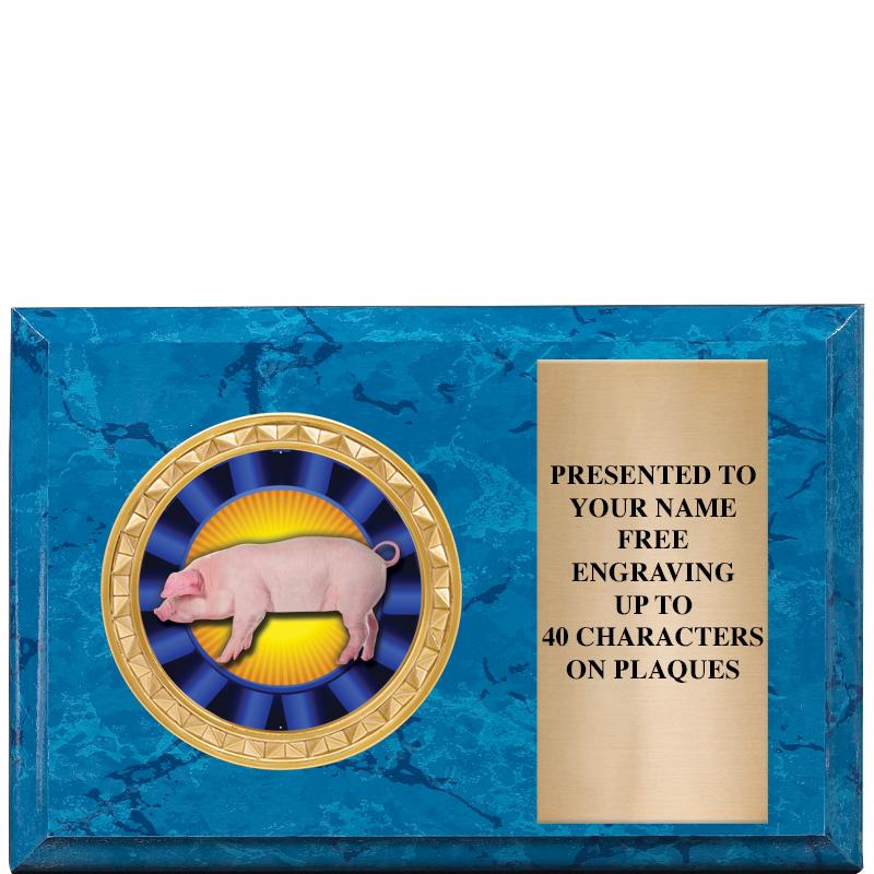 6" X 4" BLUE MBL INSERT PLQ