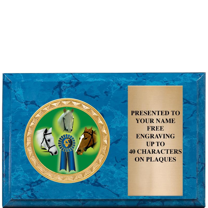 6" X 4" BLUE MBL INSERT PLQ