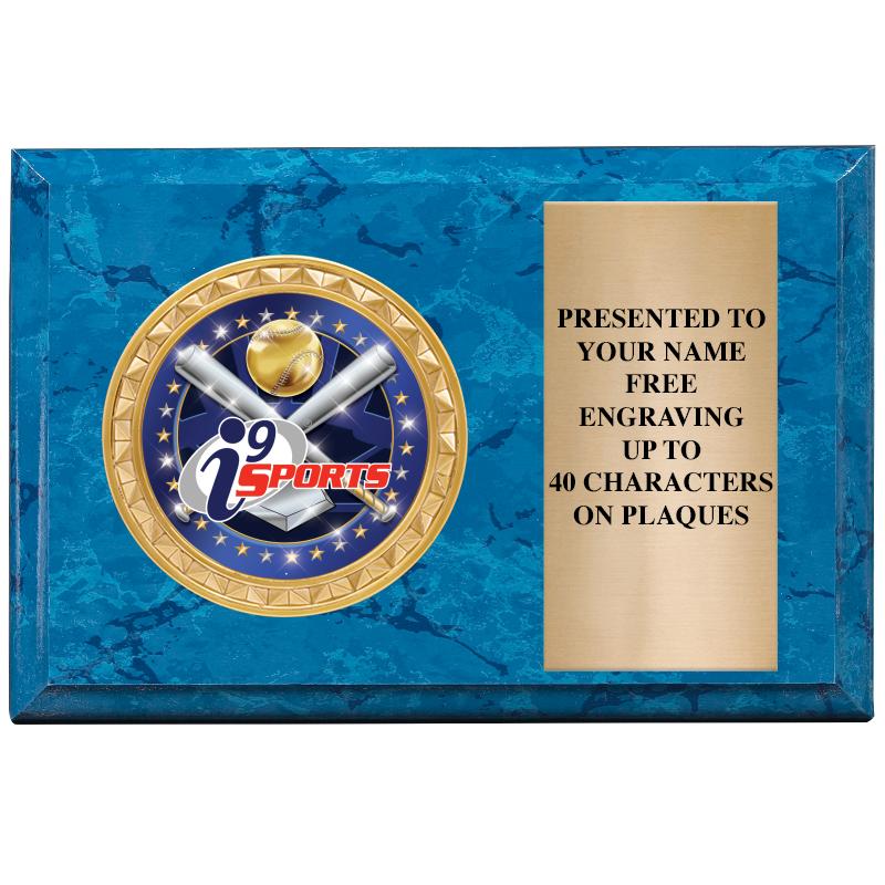 6" X 4" BLUE MBL INSERT PLQ
