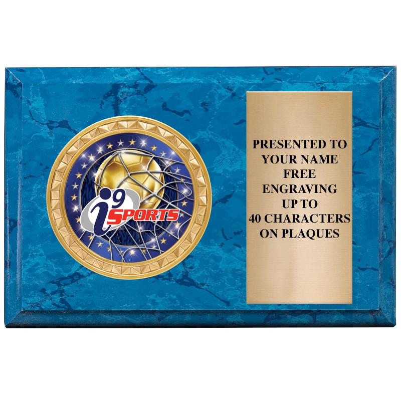 6" X 4" BLUE MBL INSERT PLQ