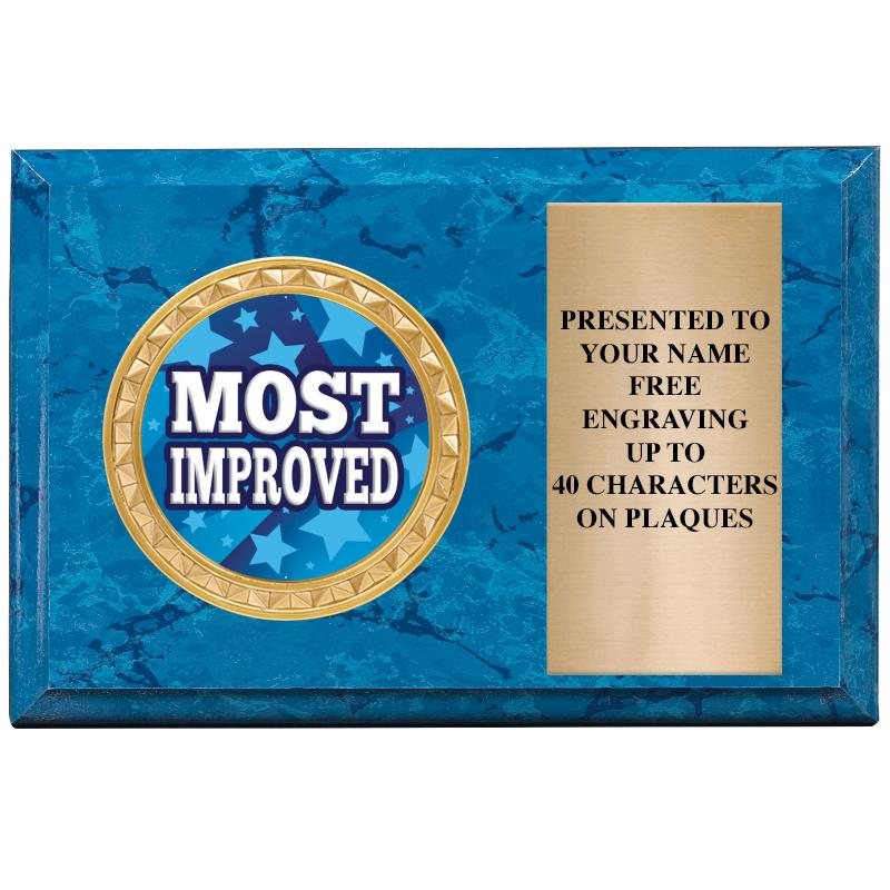 6" X 4" BLUE MBL INSERT PLQ