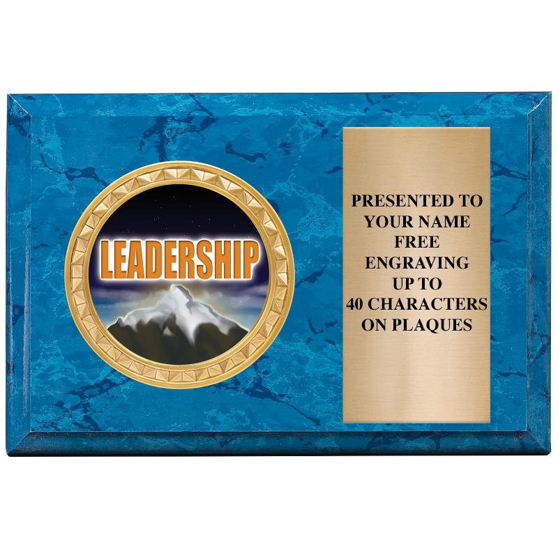 6" X 4" BLUE MBL INSERT PLQ