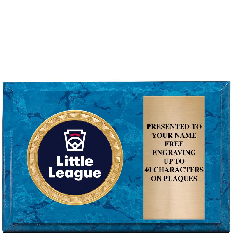 6" X 4" BLUE MBL INSERT PLQ