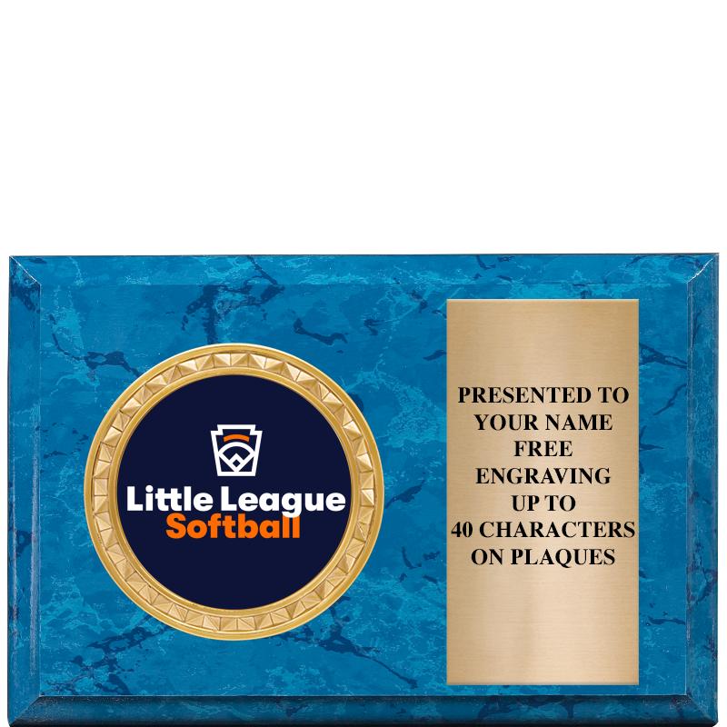 6" X 4" BLUE MBL INSERT PLQ