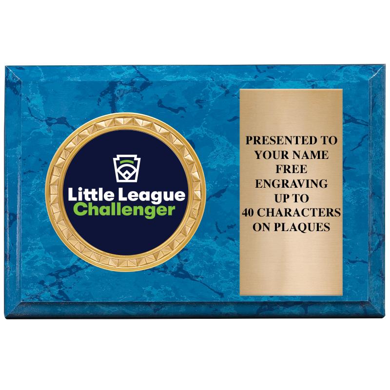 6" X 4" BLUE MBL INSERT PLQ