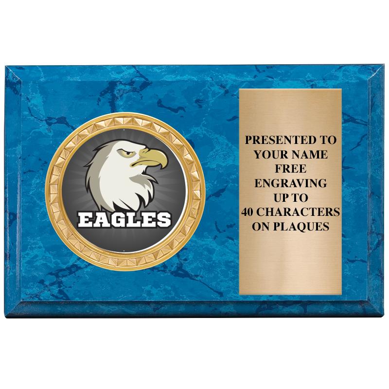 6" X 4" BLUE MBL INSERT PLQ