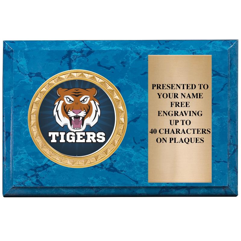 6" X 4" BLUE MBL INSERT PLQ