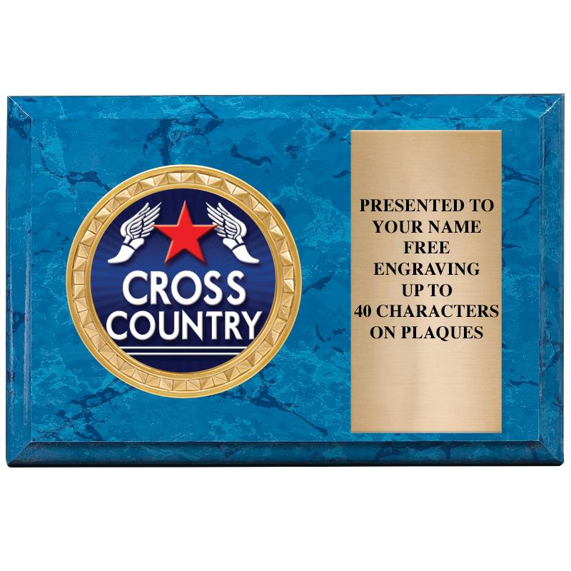 6" X 4" BLUE MBL INSERT PLQ