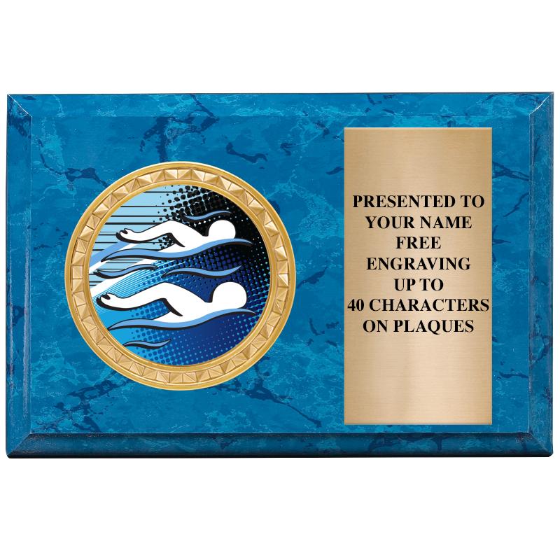 6" X 4" BLUE MBL INSERT PLQ