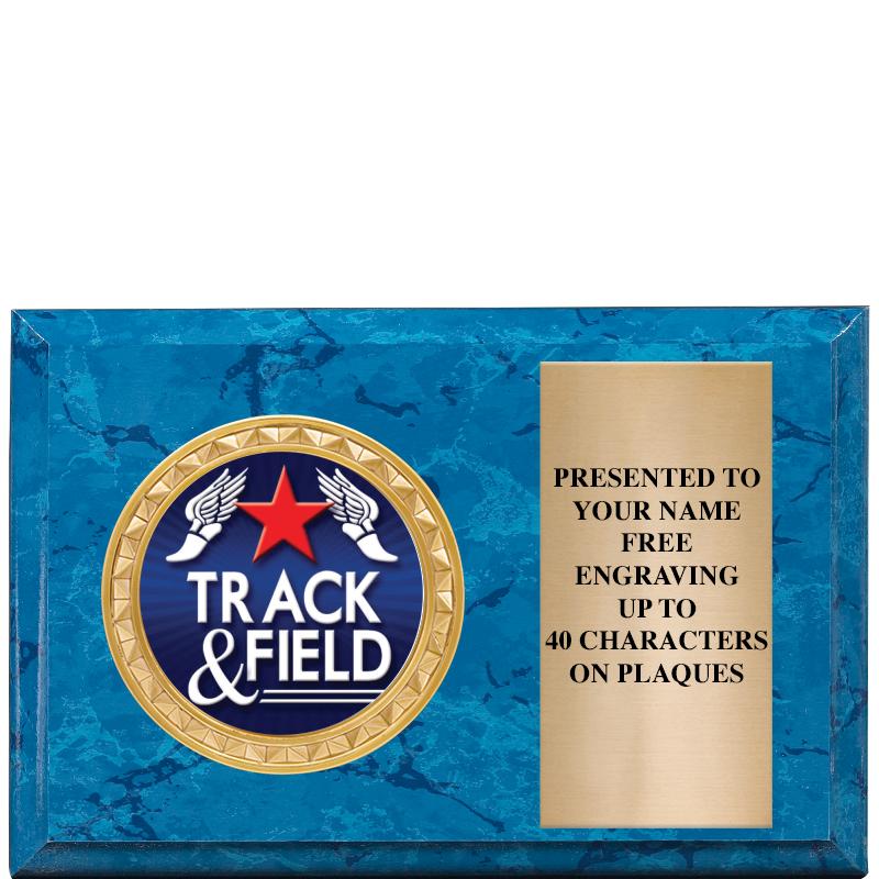 6" X 4" BLUE MBL INSERT PLQ