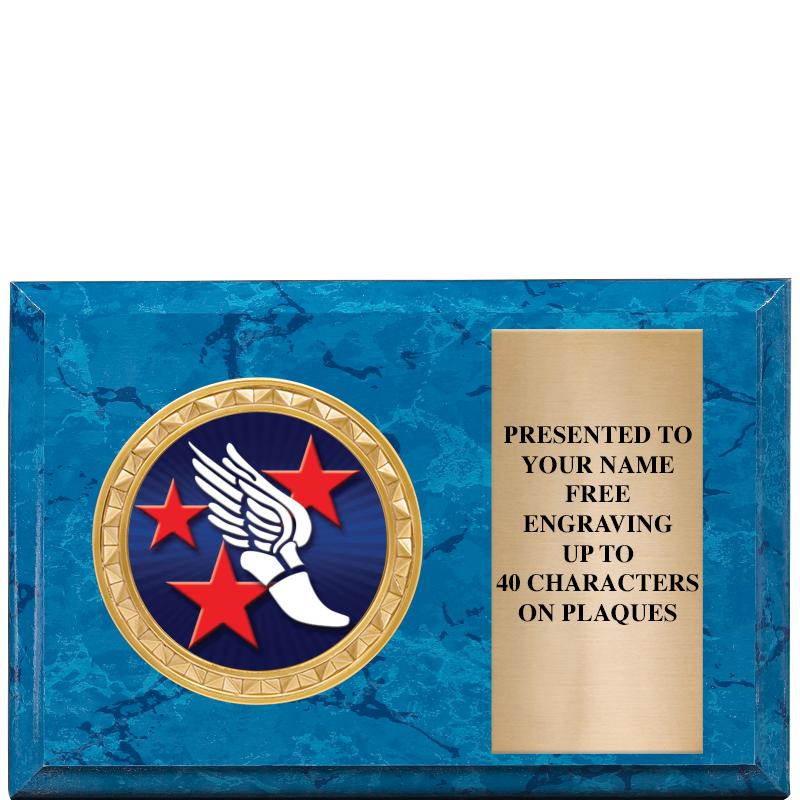 6" X 4" BLUE MBL INSERT PLQ