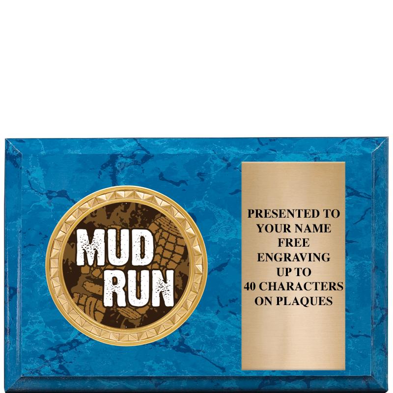 6" X 4" BLUE MBL INSERT PLQ