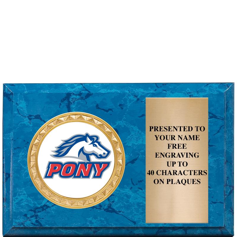 6" X 4" BLUE MBL INSERT PLQ