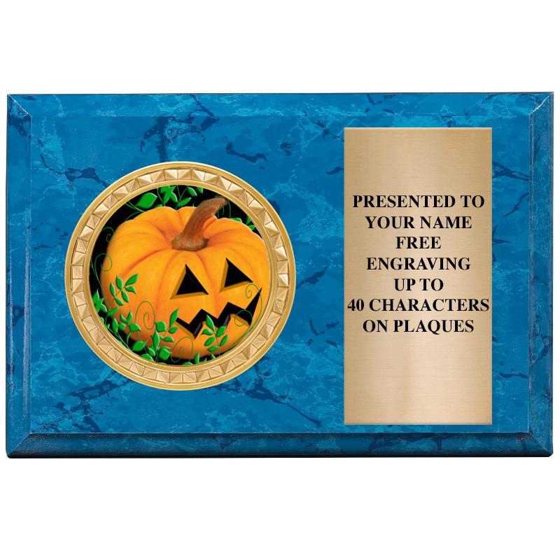 6" X 4" BLUE MBL INSERT PLQ