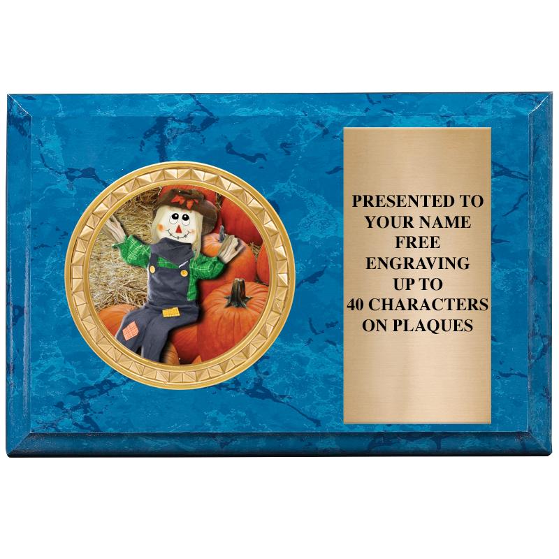 6" X 4" BLUE MBL INSERT PLQ