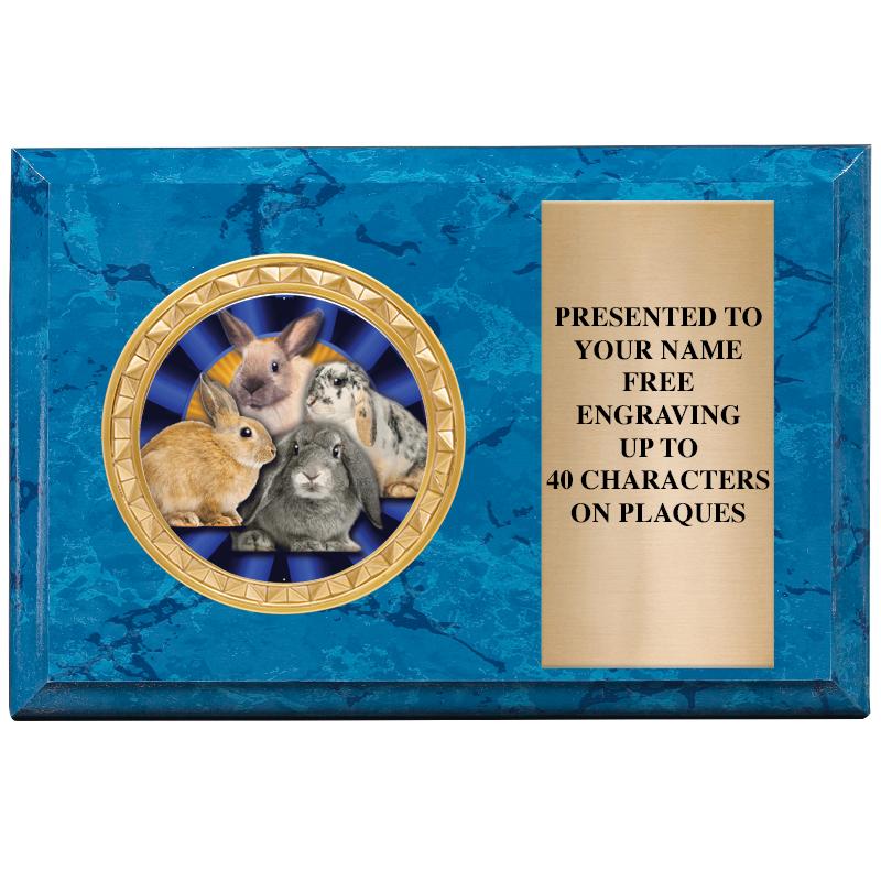 6" X 4" BLUE MBL INSERT PLQ