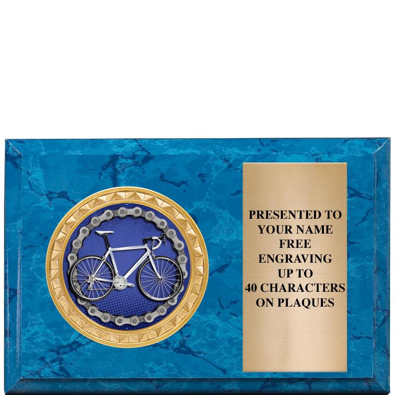 6" X 4" BLUE MBL INSERT PLQ