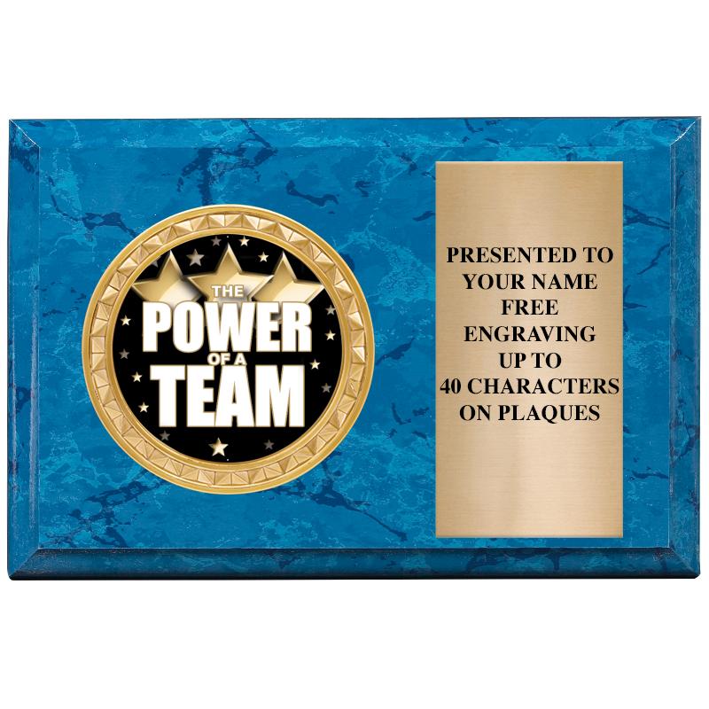 6" X 4" BLUE MBL INSERT PLQ